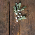 Frosted Mistletoe Pick (Pack of 4)