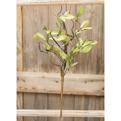 Sage Leaves & Twigs Pick 16" (Pack of 4)