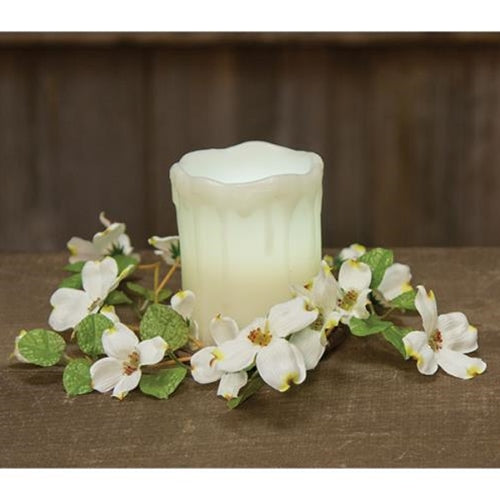 Cream English Dogwood Ring 3.5" (Pack of 4)