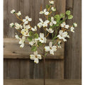 Cream English Dogwood Bush 17"  (Pack of 4)