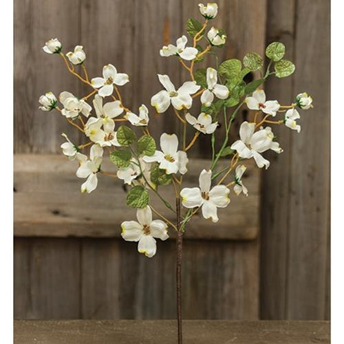 Cream English Dogwood Bush 17"  (Pack of 4)