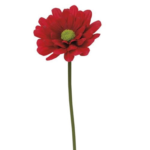 Foamy Zinnia Stem 10" Red (Pack of 4)