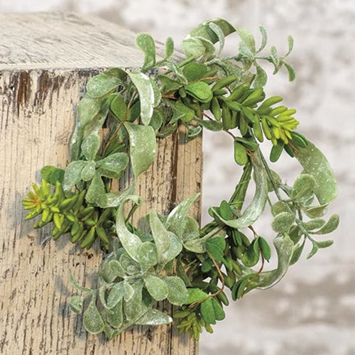 Succulent Garden Ring 3.5"  (Pack of 4)