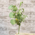 Succulent Garden Pick 14"  (Pack of 4)