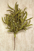 Herb Bush (Pack of 2)
