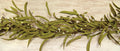 Herb Garland w/Citron Pip Berries