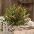 Prickly Pine Half Sphere Moss Green 9" (Pack of 4)