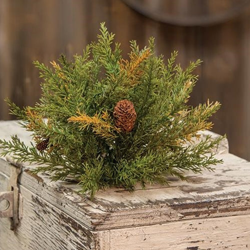 Prickly Pine Half Sphere Moss Green 9" (Pack of 4)