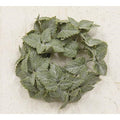 Matte Mint Candle Ring 1" (Pack of 4)