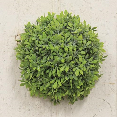 Morning Rain Half Sphere 5" (Pack of 4)