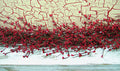 Red Pip Garland 4 ft.