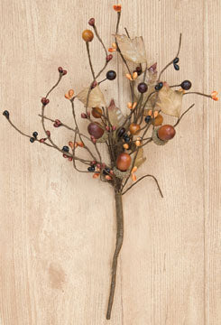 Country Mix Acorn Pick - 14"  (Pack of 4)