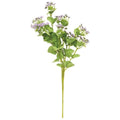 Queen Ann's Lace Spray Purple (Pack of 2)