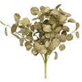 Foamy Silver Dollar Bush Sage 12" (Pack of 2)