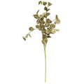 Foamy Silver Dollar Pick Sage 16" (Pack of 4)