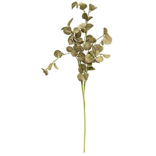Foamy Silver Dollar Pick Sage 16" (Pack of 4)