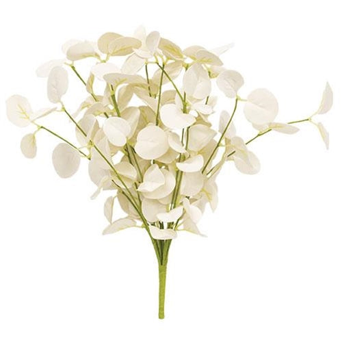 Foamy Silver Dollar Bush Cream 12" (Pack of 2)