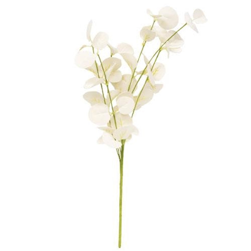 Foamy Silver Dollar Pick Cream 16" (Pack of 4)