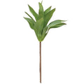 Lily Succulent Stem (Pack of 4)