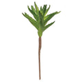 Tropical Agave Stem (Pack of 4)