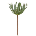 Palm Succulent (Pack of 4)