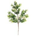 Seeded Baby Eucalyptus Bush (Pack of 4)