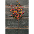 Bittersweet Spray 18" (Pack of 4)