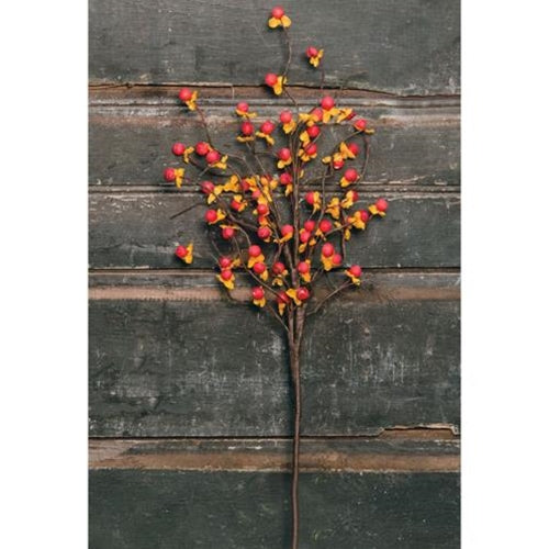 Bittersweet Spray 18" (Pack of 4)