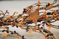 Pip Berry Garland With Stars Primitive Mix 40" (Pack of 2)