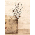 Gray & Black Pip & Star Spray 24" (Pack of 4)
