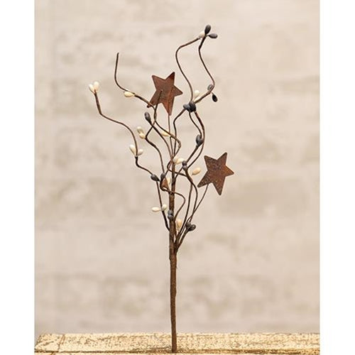Farmhouse Mix Pip & Star Pick 12"  (Pack of 4)