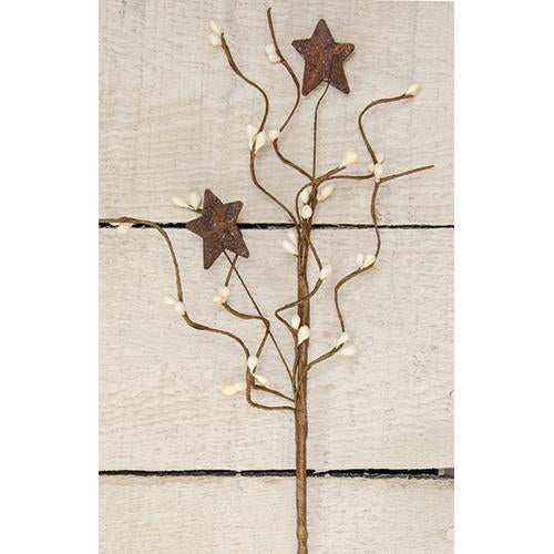 Ivory Pip & Star Pick 12" (Pack of 4)