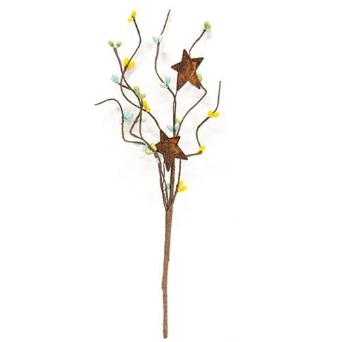 Spring Mix Pip & Star Pick 12" (Pack of 4)