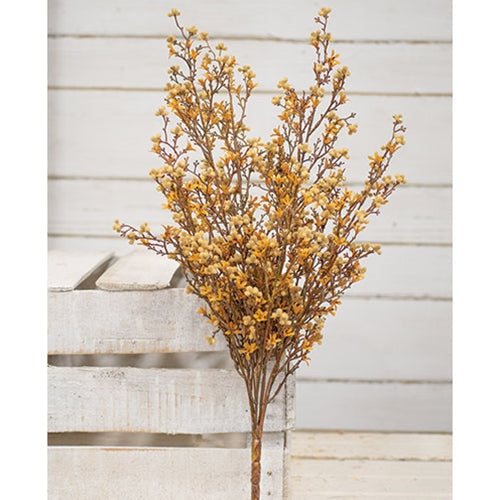 Star Flower Berry Bush - Earthtone