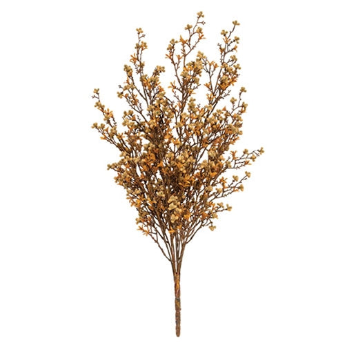 Star Flower Berry Bush - Earthtone