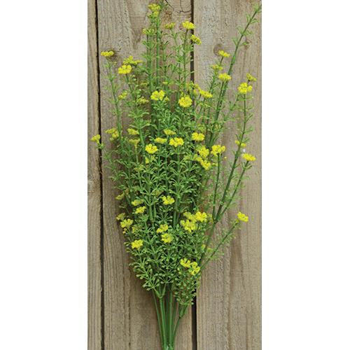 Yellow Astilbe Bush 20"  (Pack of 4)