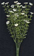 White Astilbe Bush 10-1/2" (Pack of 4)