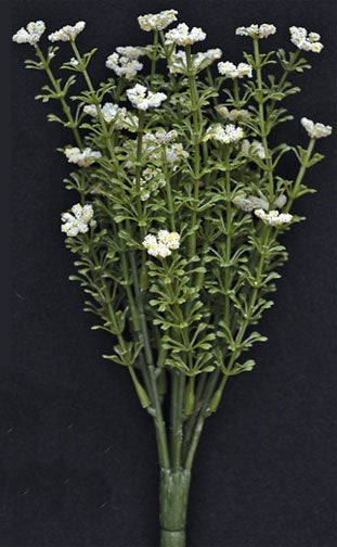 White Astilbe Bush 10-1/2" (Pack of 4)