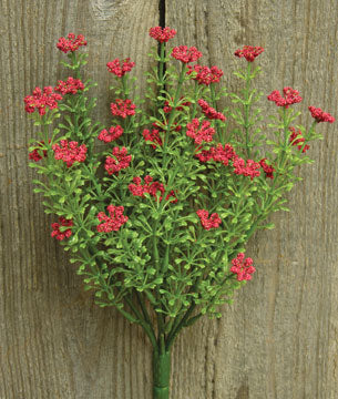Red Astilbe Bush 10-1/2" (Pack of 4)