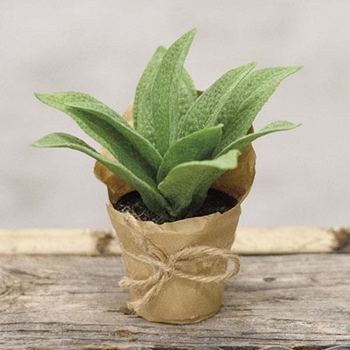 Paper Pot Cowslip 6"  (Pack of 4)