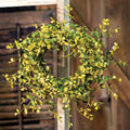 Bog Pimpernel Ring 4.5" in/14" out (Pack of 2)