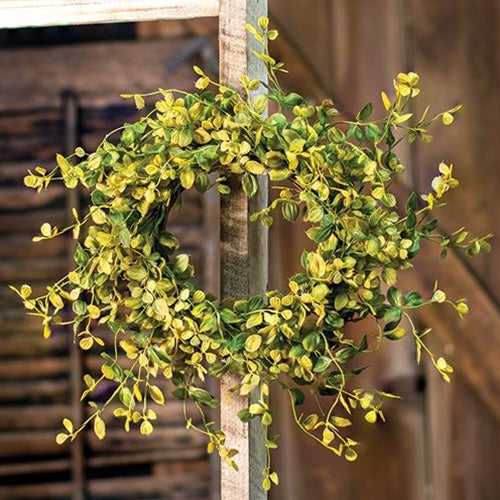 Bog Pimpernel Ring 4.5" in/14" out (Pack of 2)