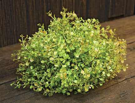 Baby's Grass Table Piece 7" (Pack of 2)