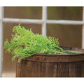 Coral Fern Pick 12" (Pack of 4)