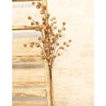 Gleaming Pinecone Spray 29" (Pack of 2)