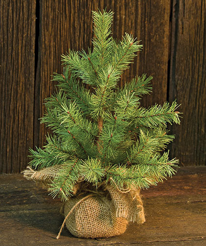Mountain Pine Tree 12"