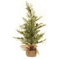 North Rim Hemlock Tree 24"