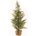 North Rim Hemlock Tree 36"