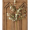 Winter Silver Dollar Spray 32" (Pack of 4)