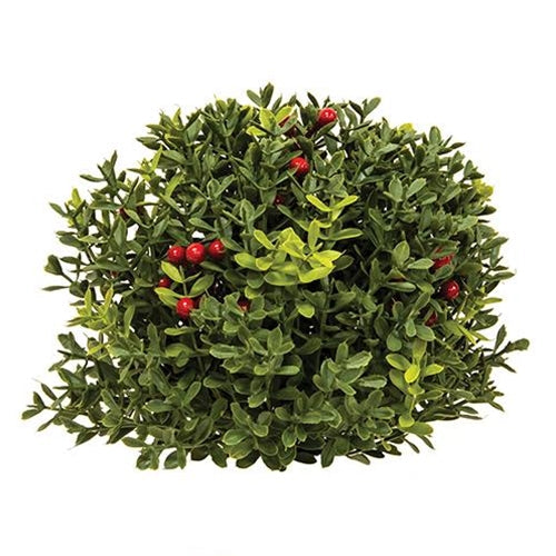 New England Boxwood With Berries Half Sphere 8"  (Pack of 4)